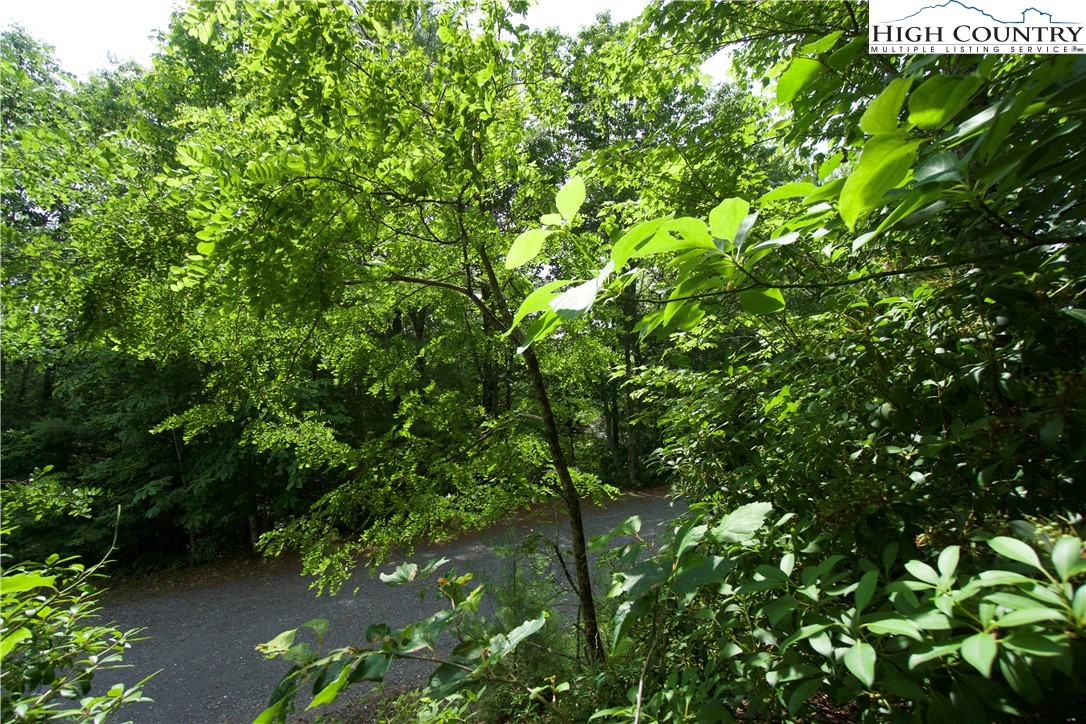 21 Christmas Mountain Lane