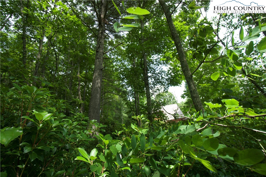 21 Christmas Mountain Lane