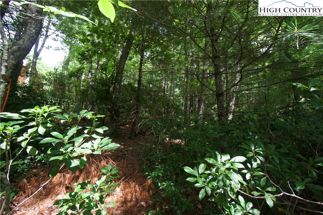 21 Christmas Mountain Lane