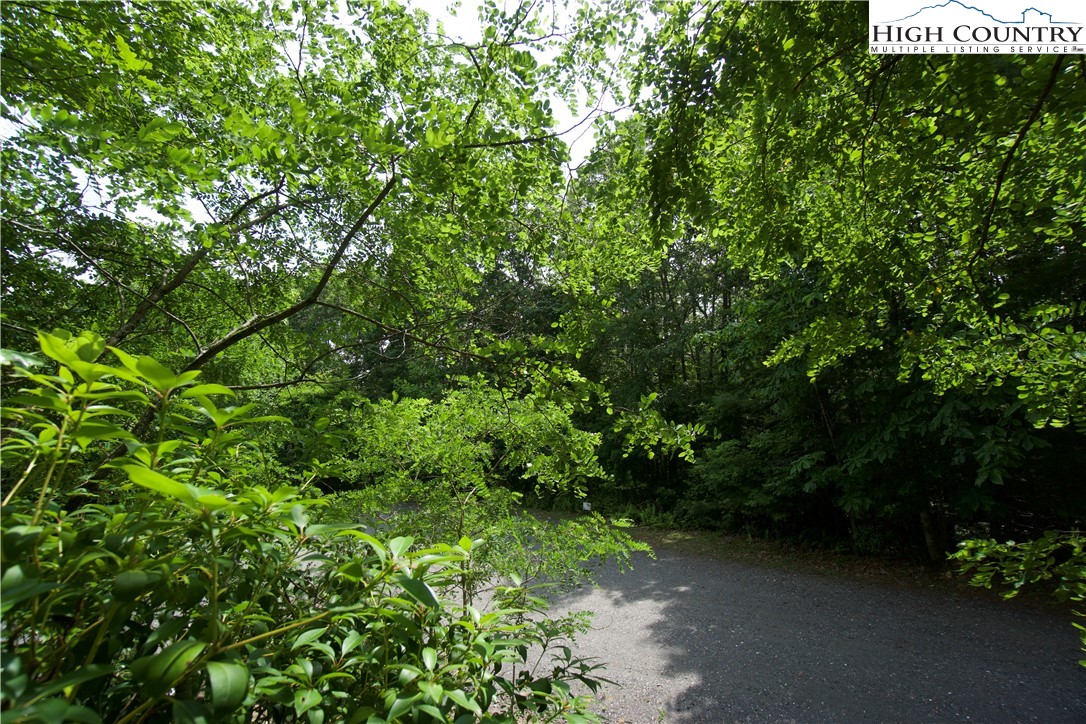 21 Christmas Mountain Lane