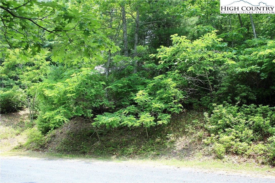 21 Christmas Mountain Lane