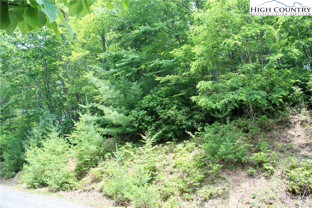 21 Christmas Mountain Lane