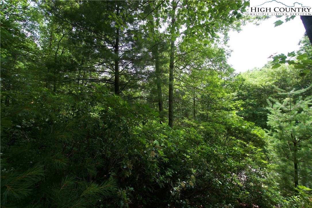 21 Christmas Mountain Lane