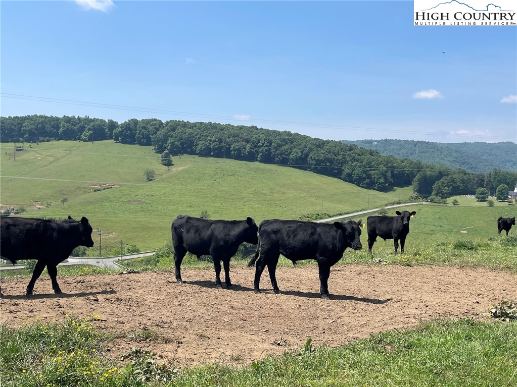 TBD Bare Rd & Hwy 163