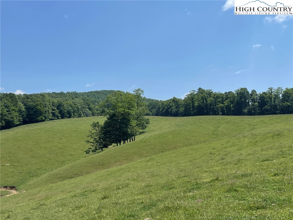 TBD Bare Rd & Hwy 163