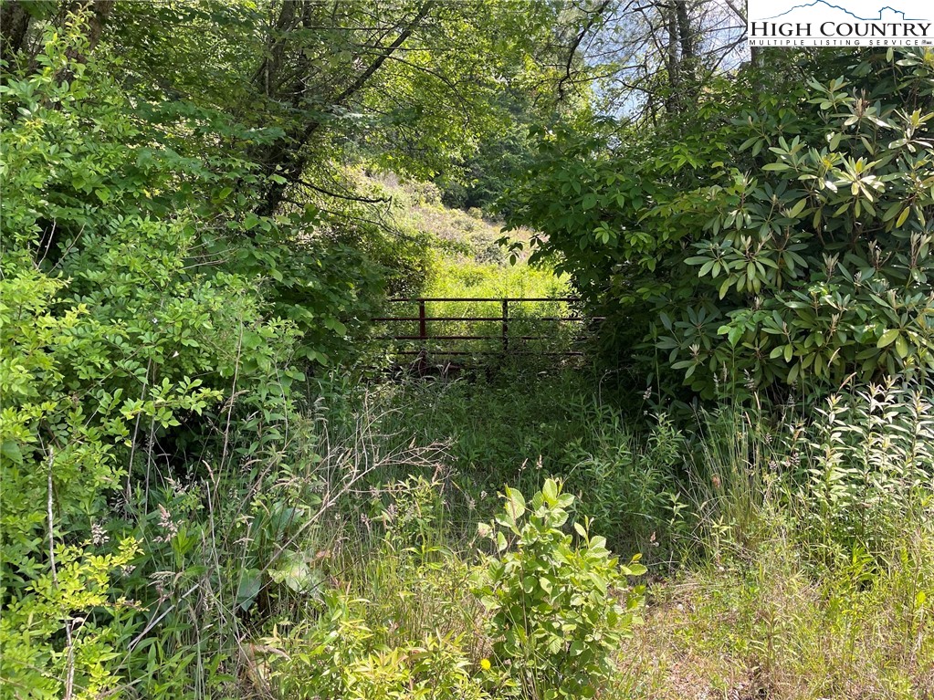 TBD Bare Rd & Hwy 163