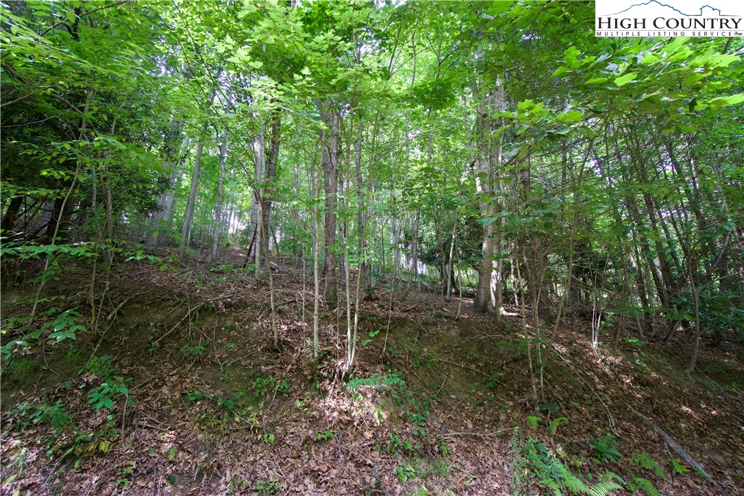 293 Rush Branch Road