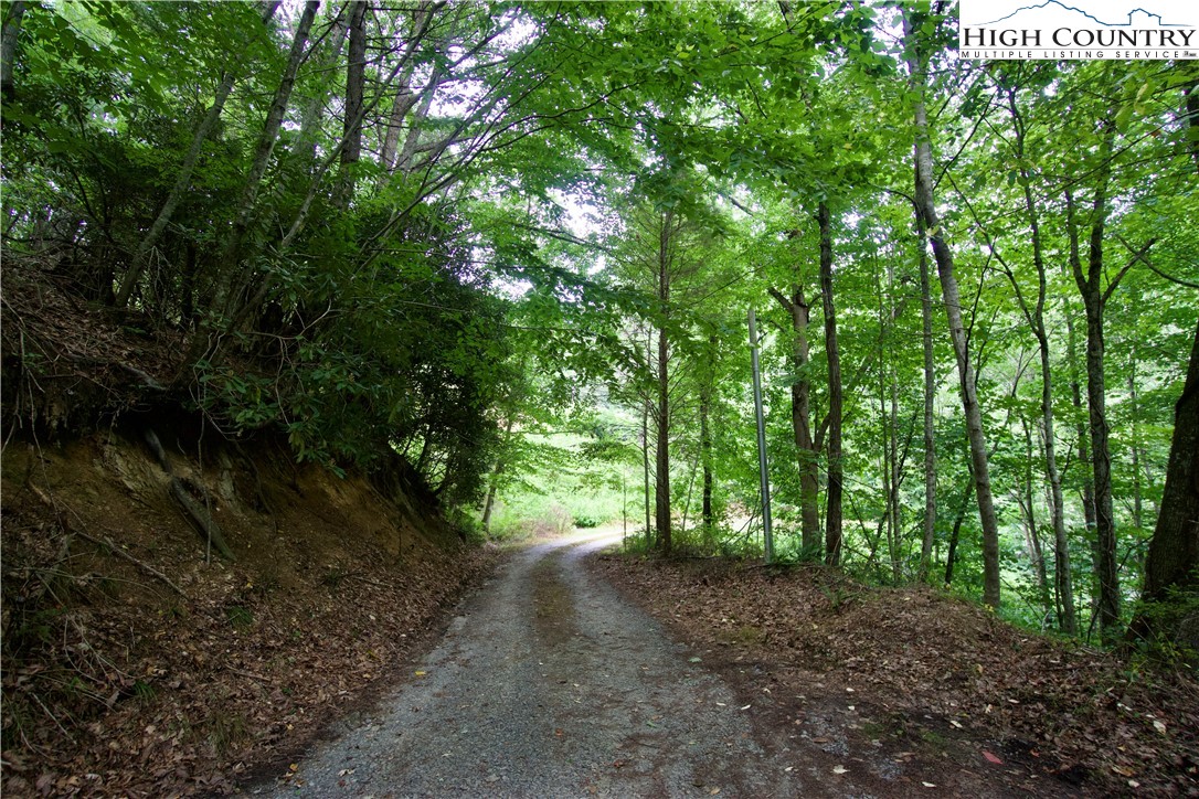 293 Rush Branch Road