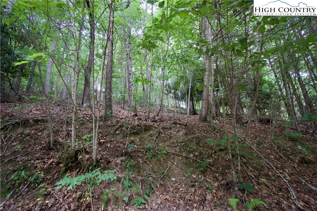 293 Rush Branch Road