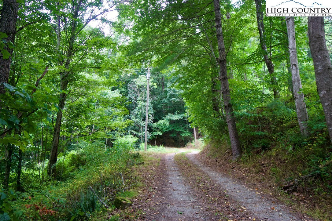 293 Rush Branch Road