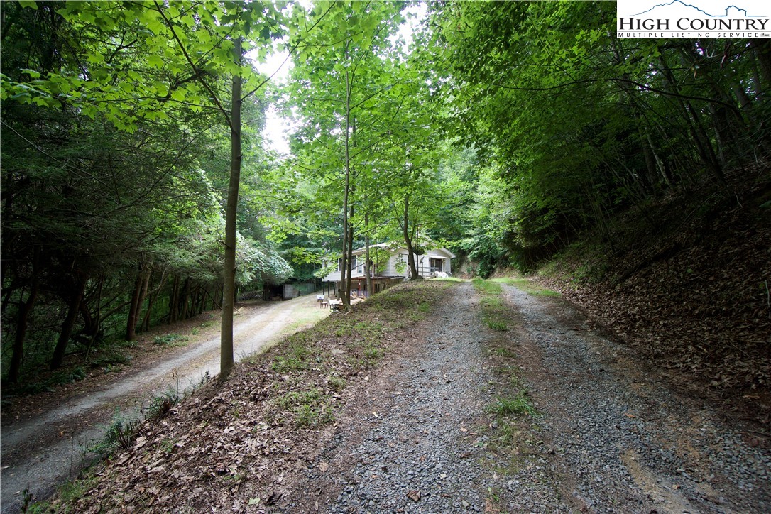 293 Rush Branch Road