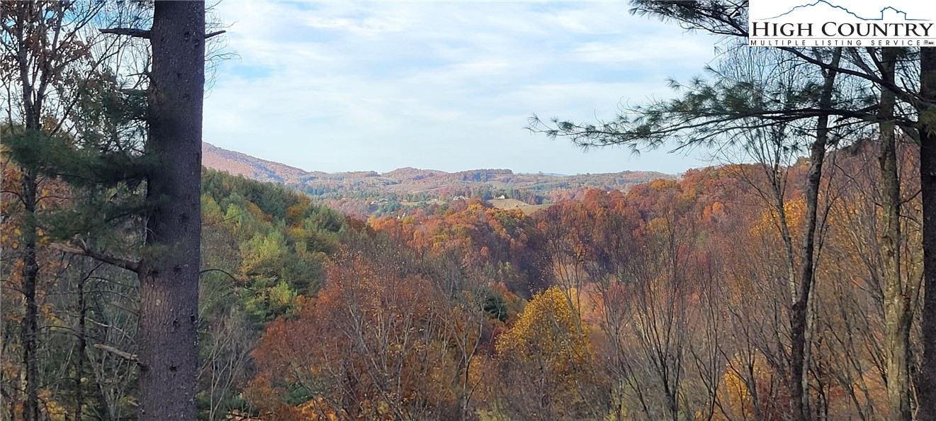 951 Woodland Shores Drive