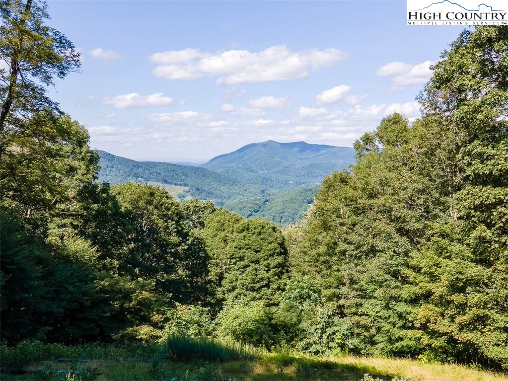 455 Foxs Gold Mine Road