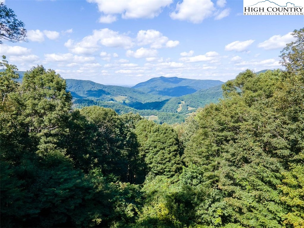 455 Foxs Gold Mine Road