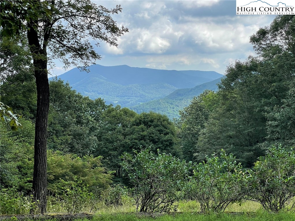 455 Foxs Gold Mine Road