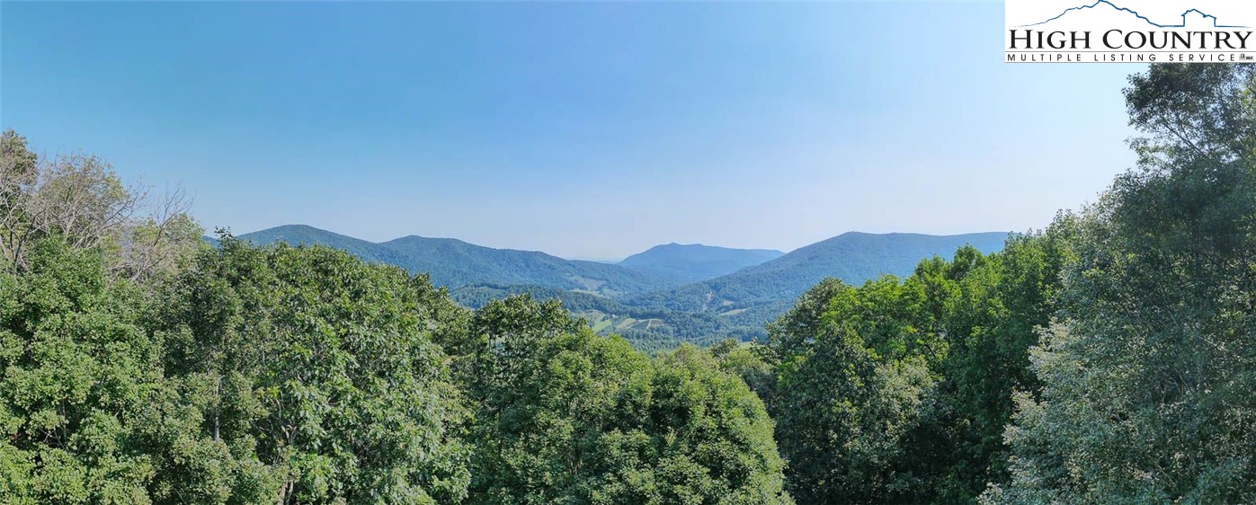 455 Foxs Gold Mine Road