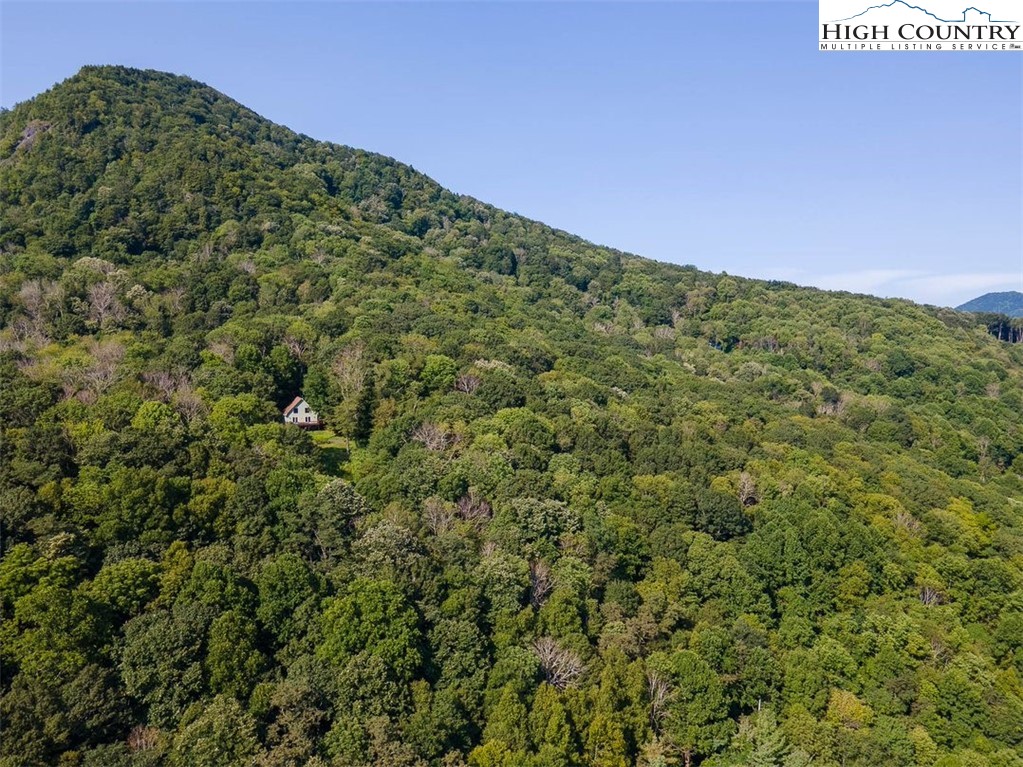 455 Foxs Gold Mine Road