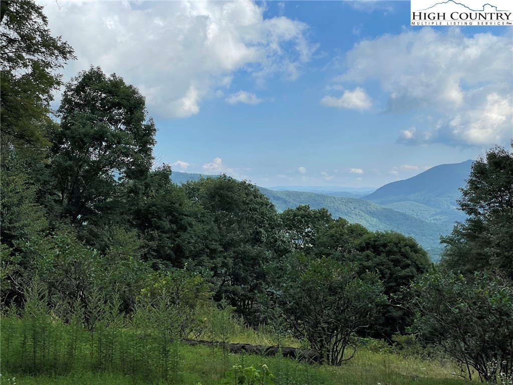 455 Foxs Gold Mine Road