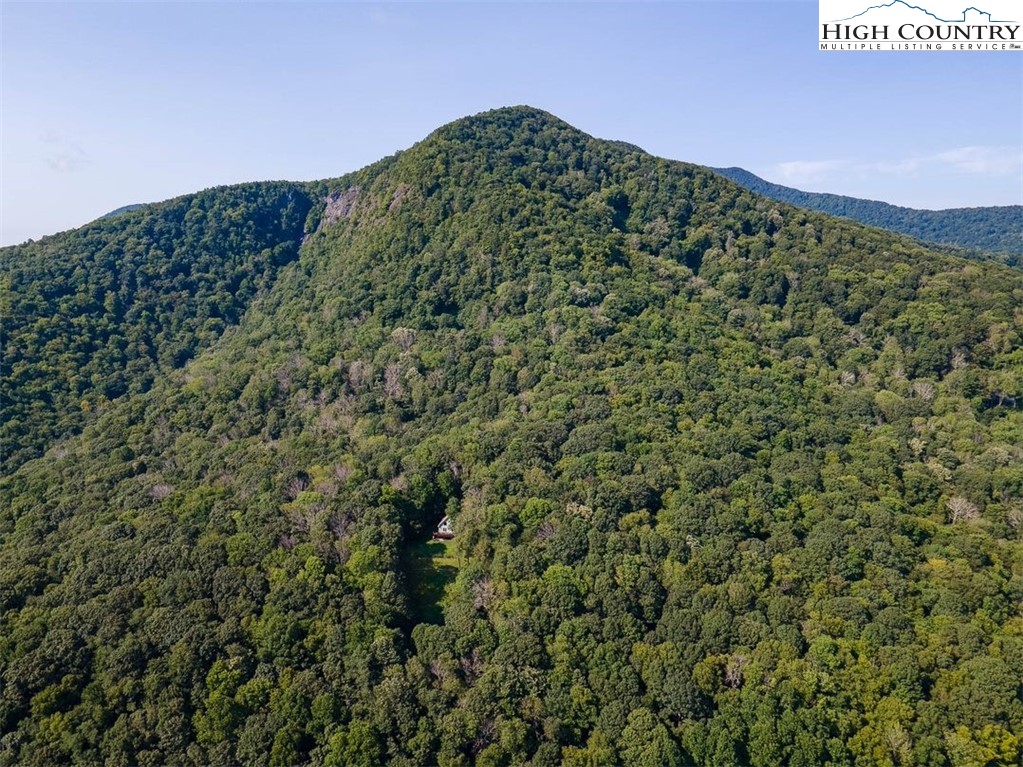 455 Foxs Gold Mine Road