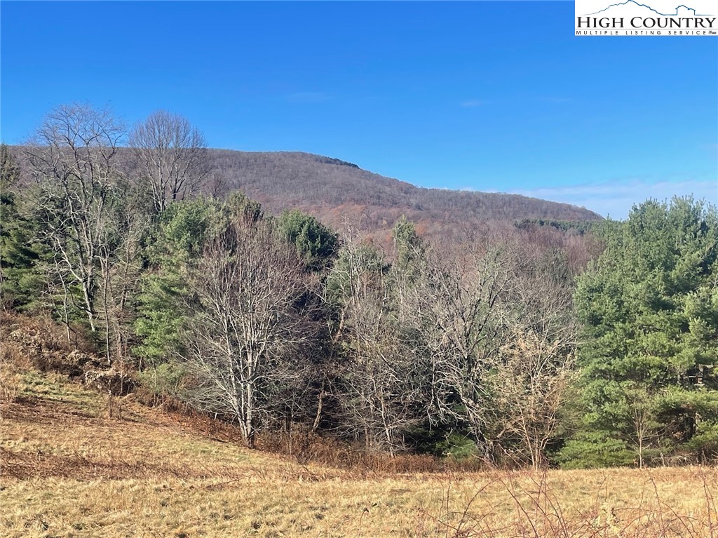 TBD Macomb Ridge Road