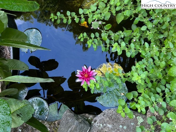 1404 Laurel Creek Ext Road