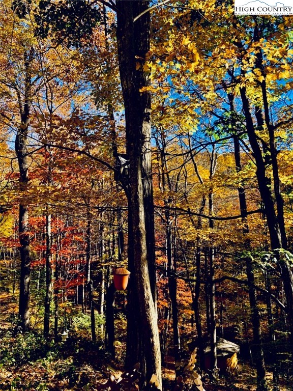 1404 Laurel Creek Ext Road