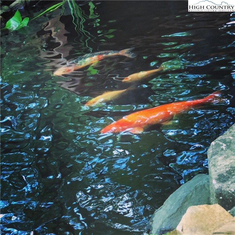 1404 Laurel Creek Ext Road