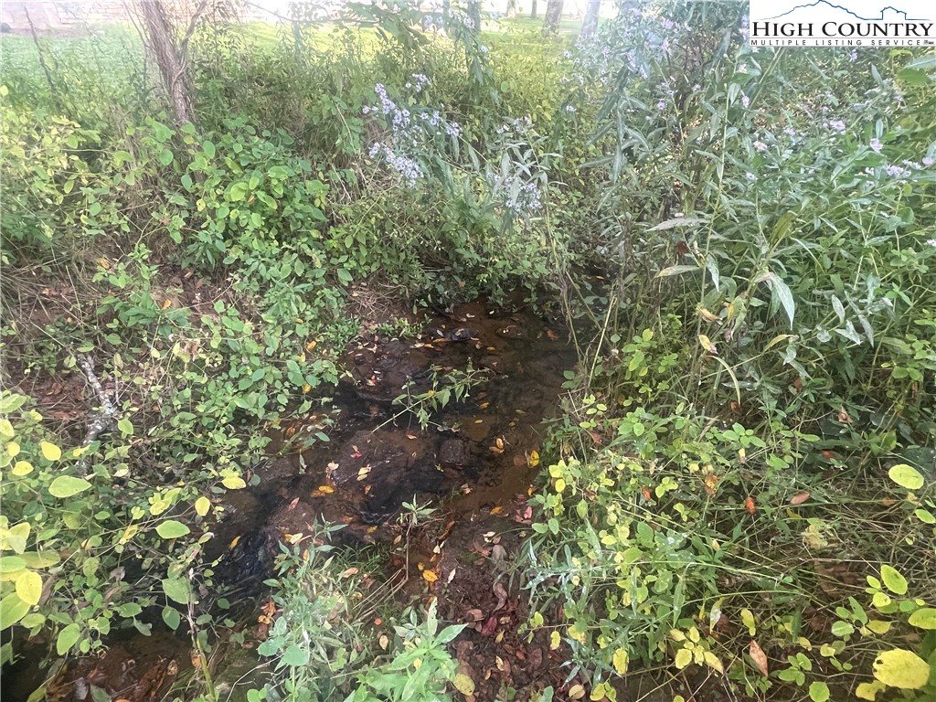 291 W Evergreen Street