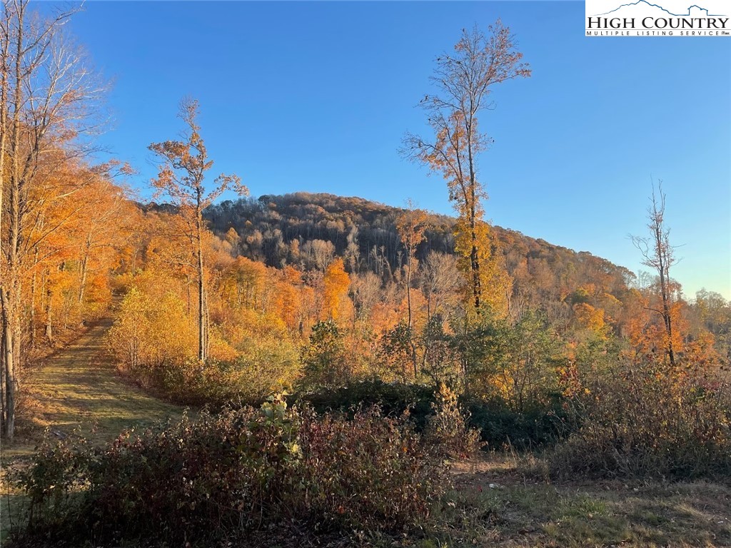 TBD-15A Chestnut Farms Road