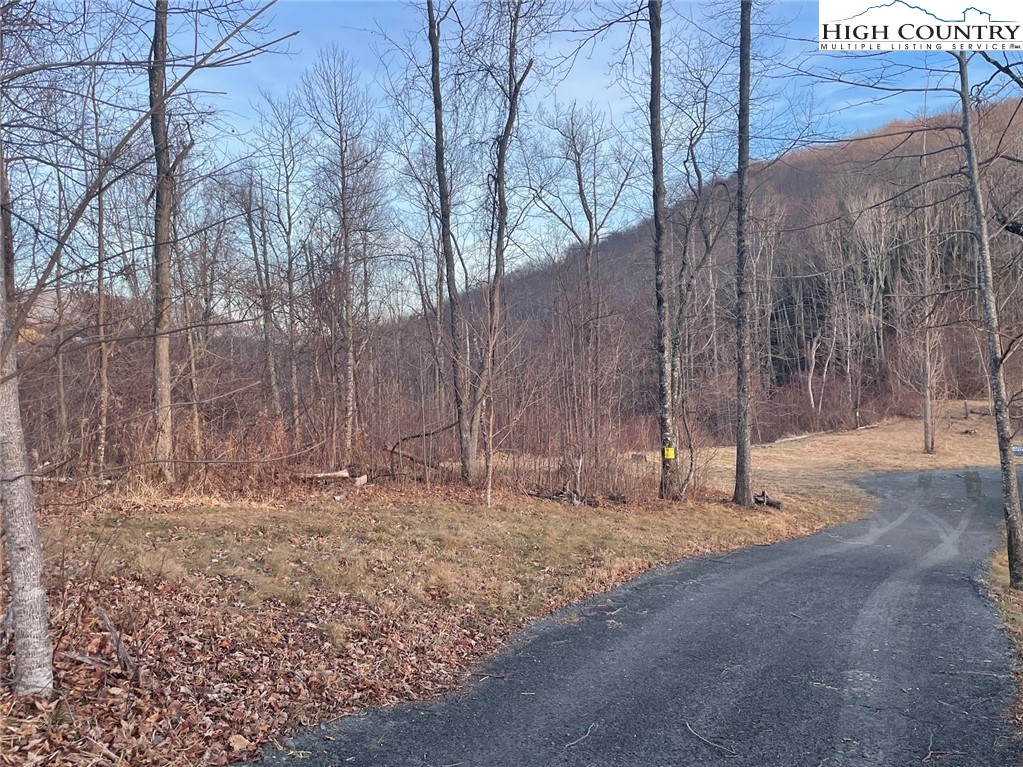 TBD-15A Chestnut Farms Road