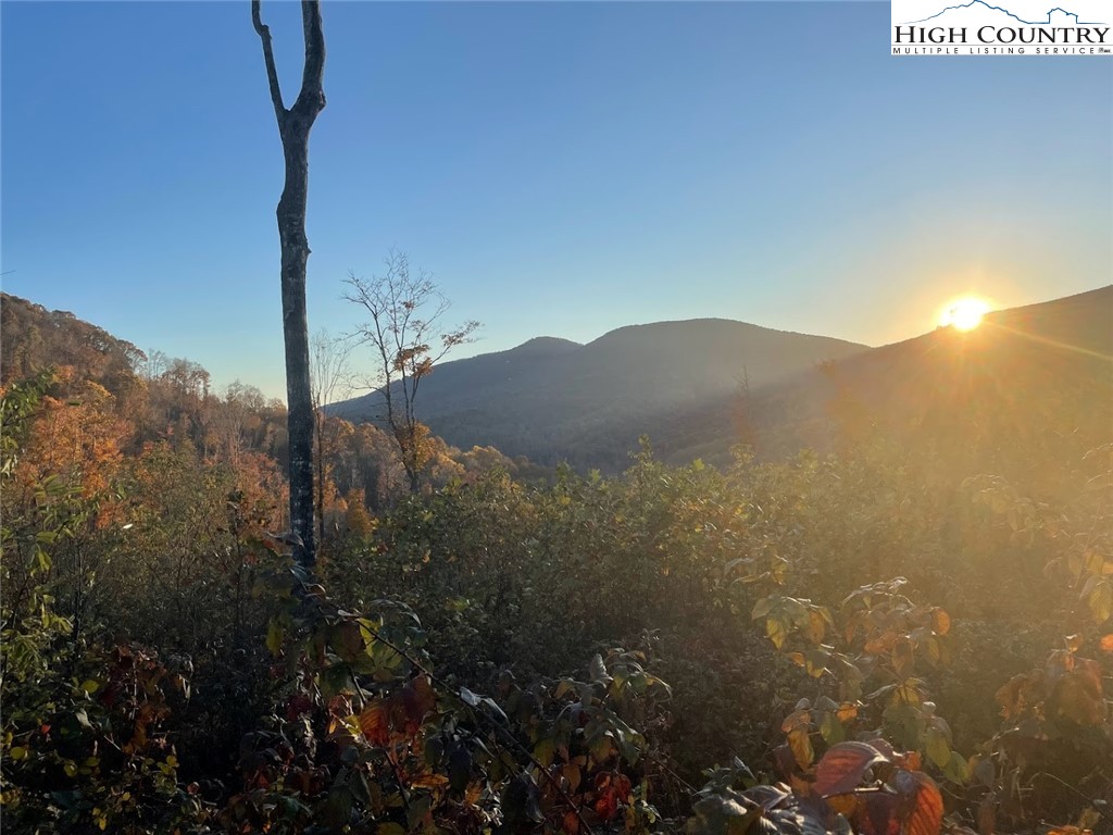 TBD-15A Chestnut Farms Road