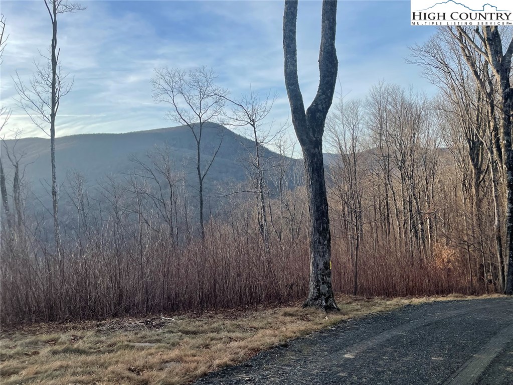 TBD-14A Chestnut Farms Road