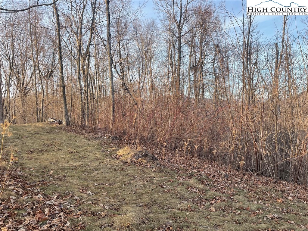 TBD-14A Chestnut Farms Road