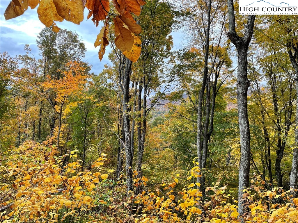 TBD-14A Chestnut Farms Road