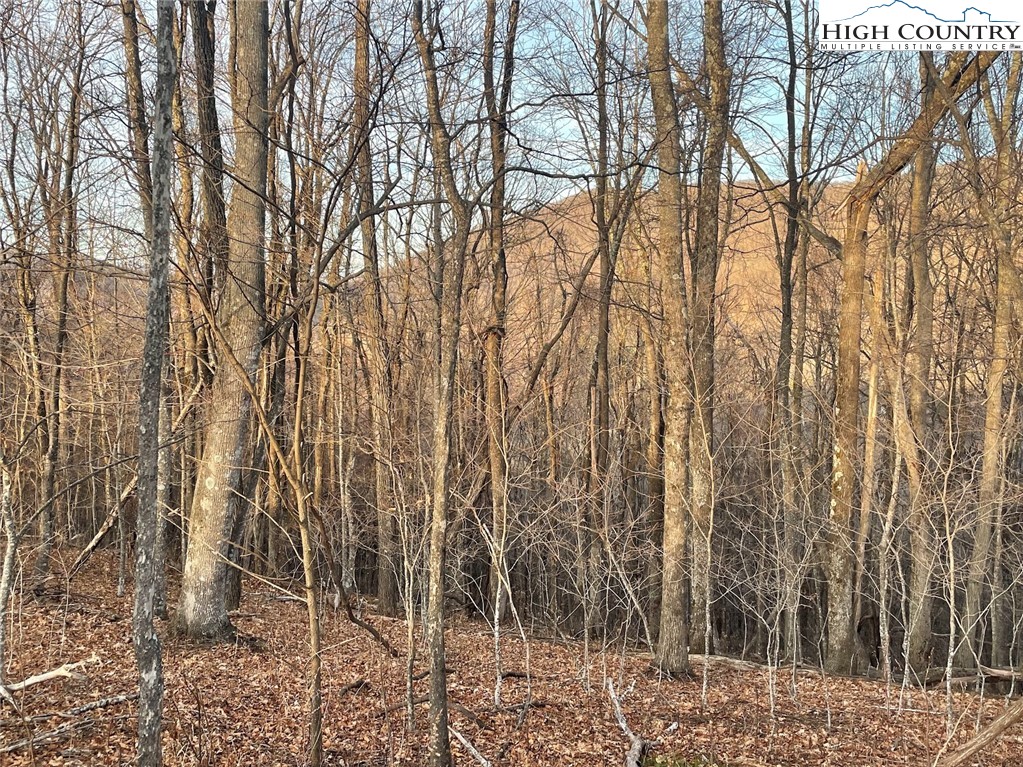 TBD-14A Chestnut Farms Road