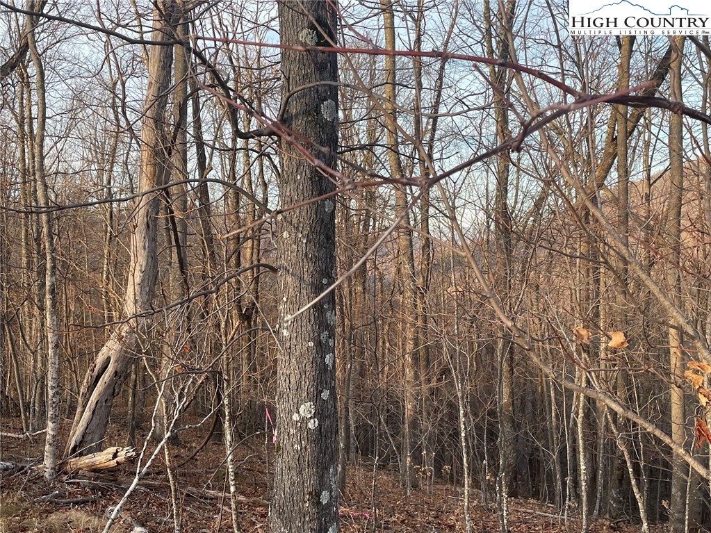 TBD-12A Chestnut Farms Road