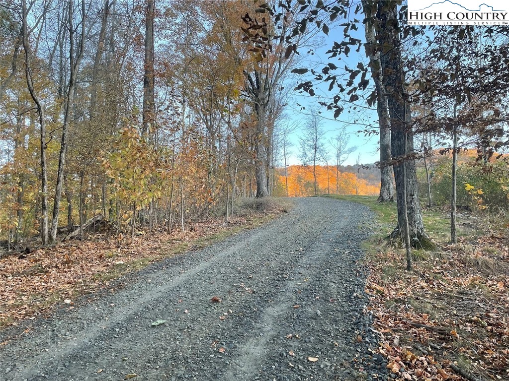 TBD-12A Chestnut Farms Road