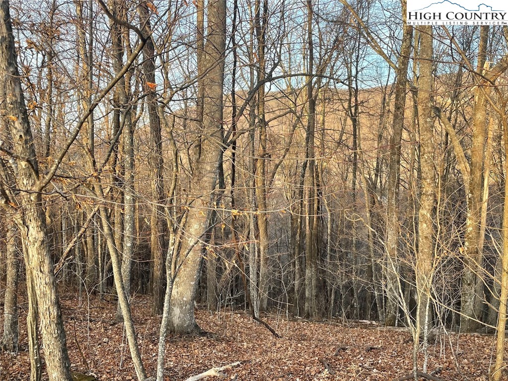 TBD-12A Chestnut Farms Road