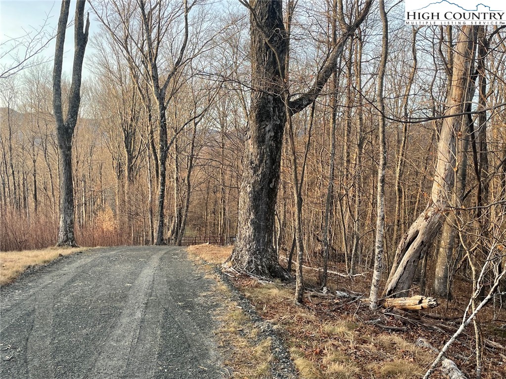 TBD-12A Chestnut Farms Road