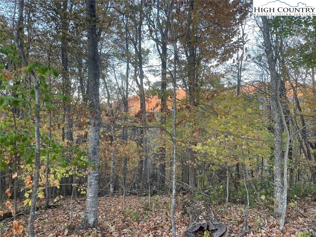 TBD-12A Chestnut Farms Road