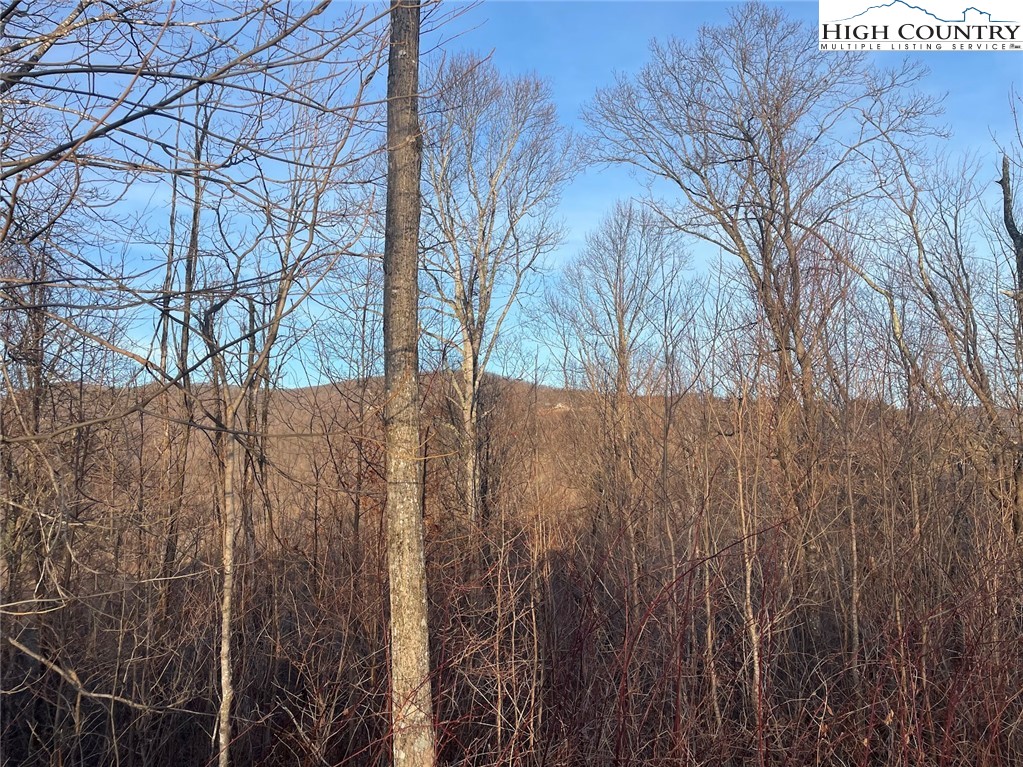 TBD-12A Chestnut Farms Road