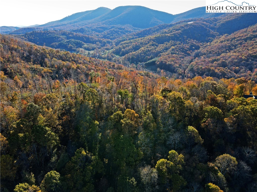 TBD-12A Chestnut Farms Road