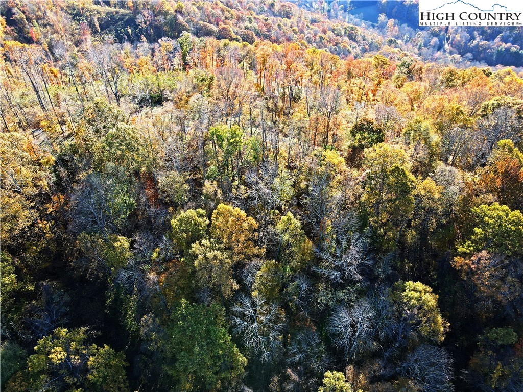 TBD-12A Chestnut Farms Road