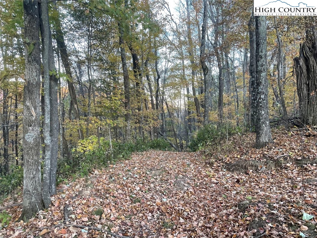 TBD-12A Chestnut Farms Road