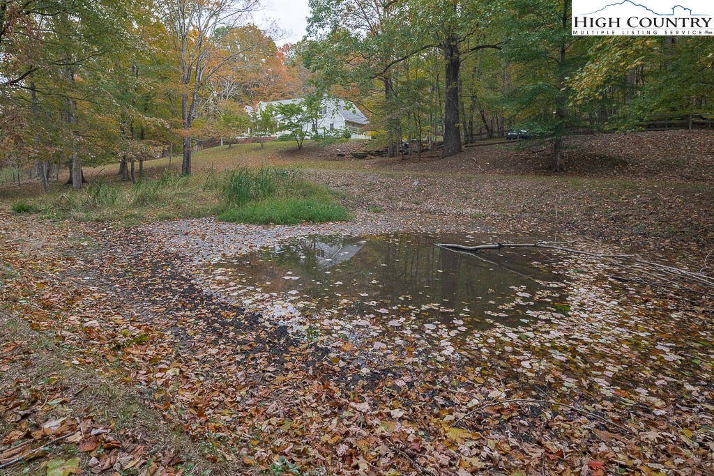 153 Brandiwood Drive