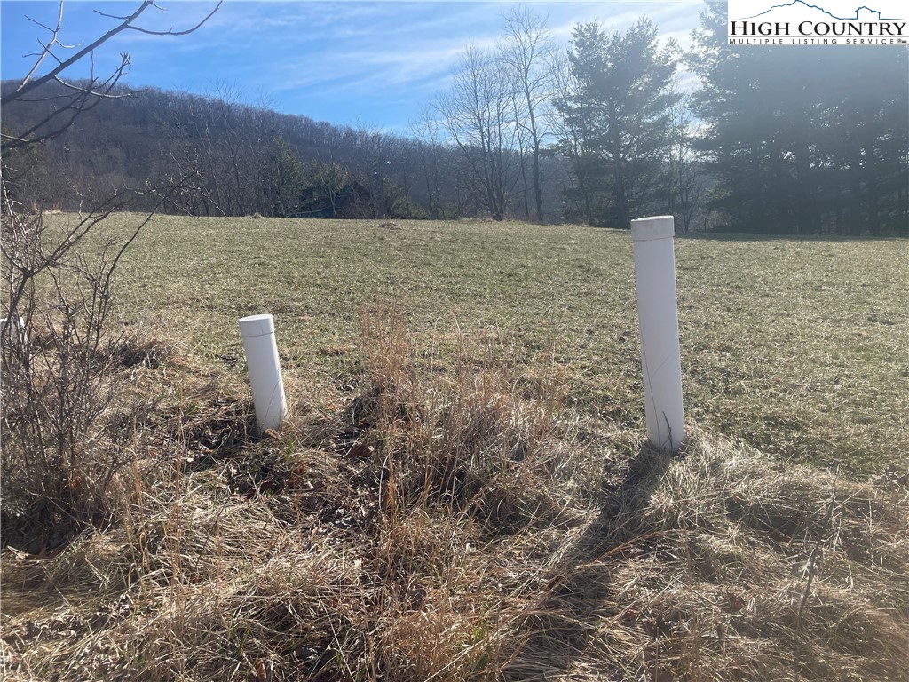 203 and 202 Lauren Lane