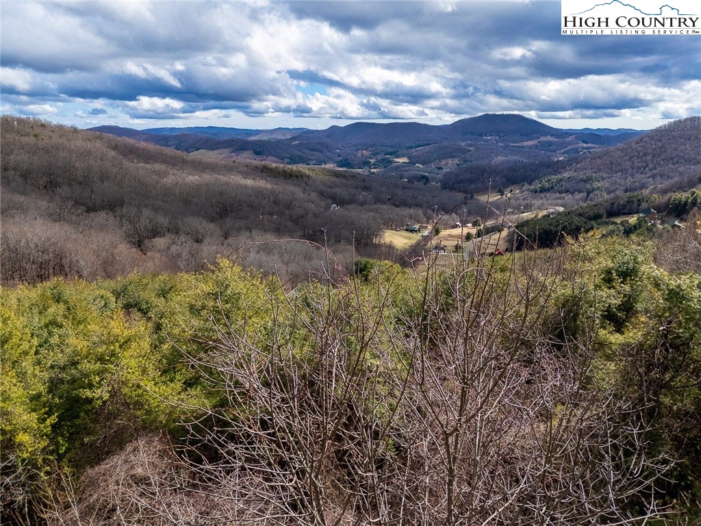 203 and 202 Lauren Lane