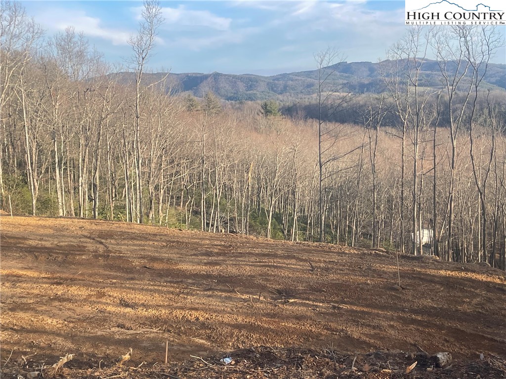 42 Sharpes Mountain Lane