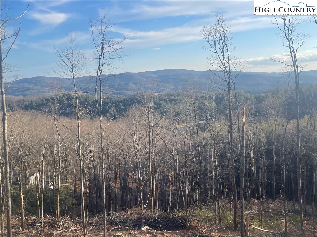 42 Sharpes Mountain Lane