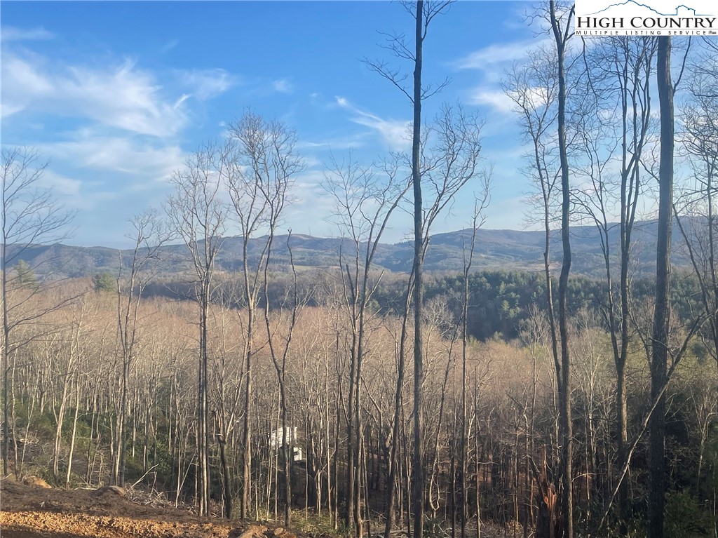 42 Sharpes Mountain Lane